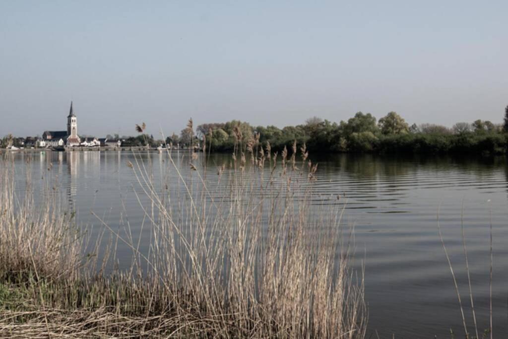 Amand'Eau - Zwemvijver, Zonneterras, Grote Tuin Sint-Amands ภายนอก รูปภาพ