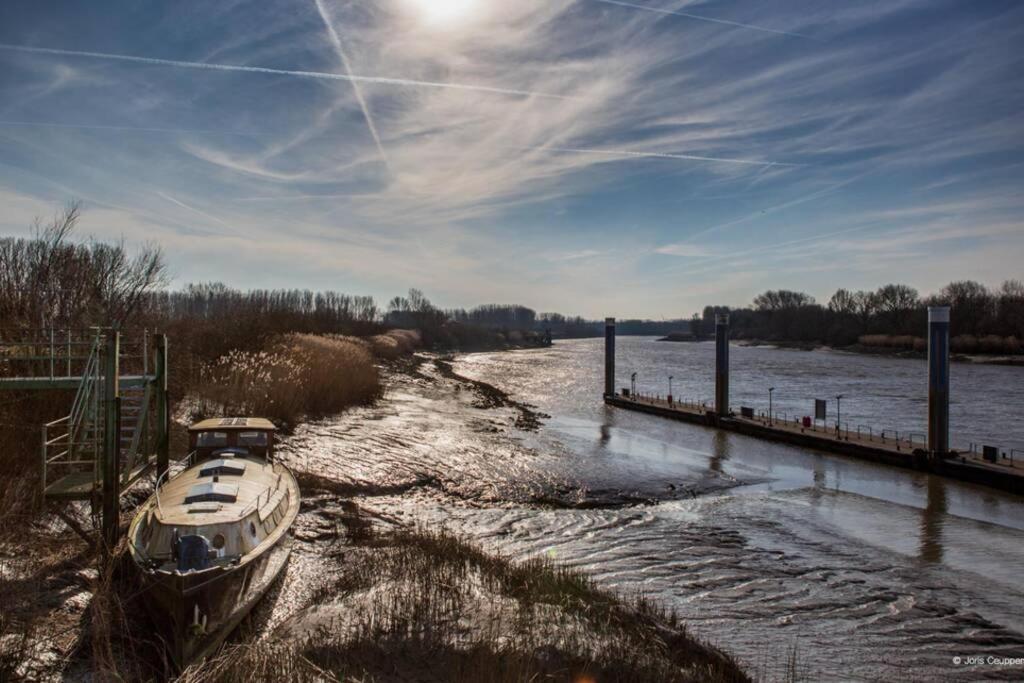 Amand'Eau - Zwemvijver, Zonneterras, Grote Tuin Sint-Amands ภายนอก รูปภาพ